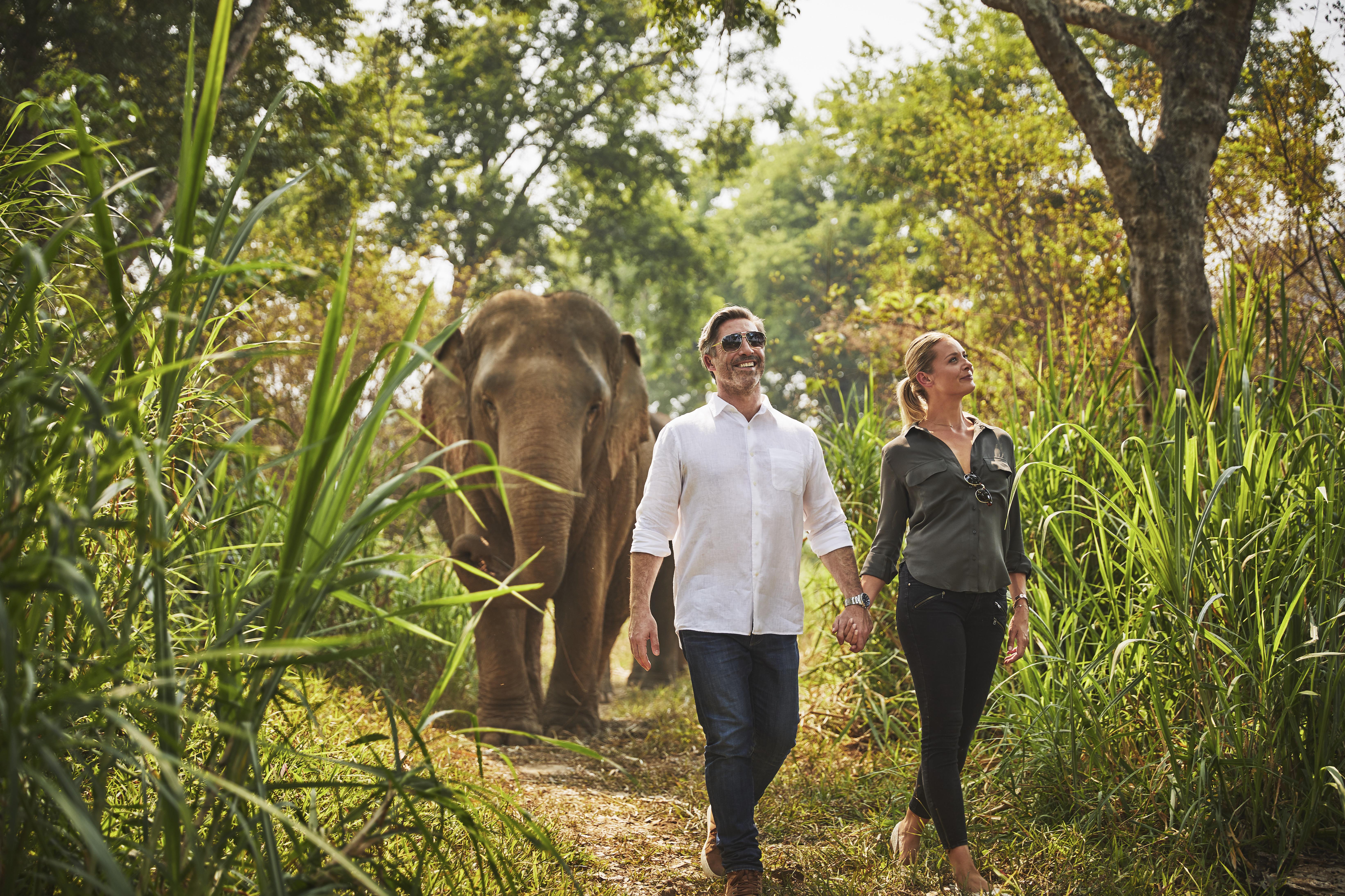 Anantara Golden Triangle Elephant Camp & Resort Чіанграй Екстер'єр фото